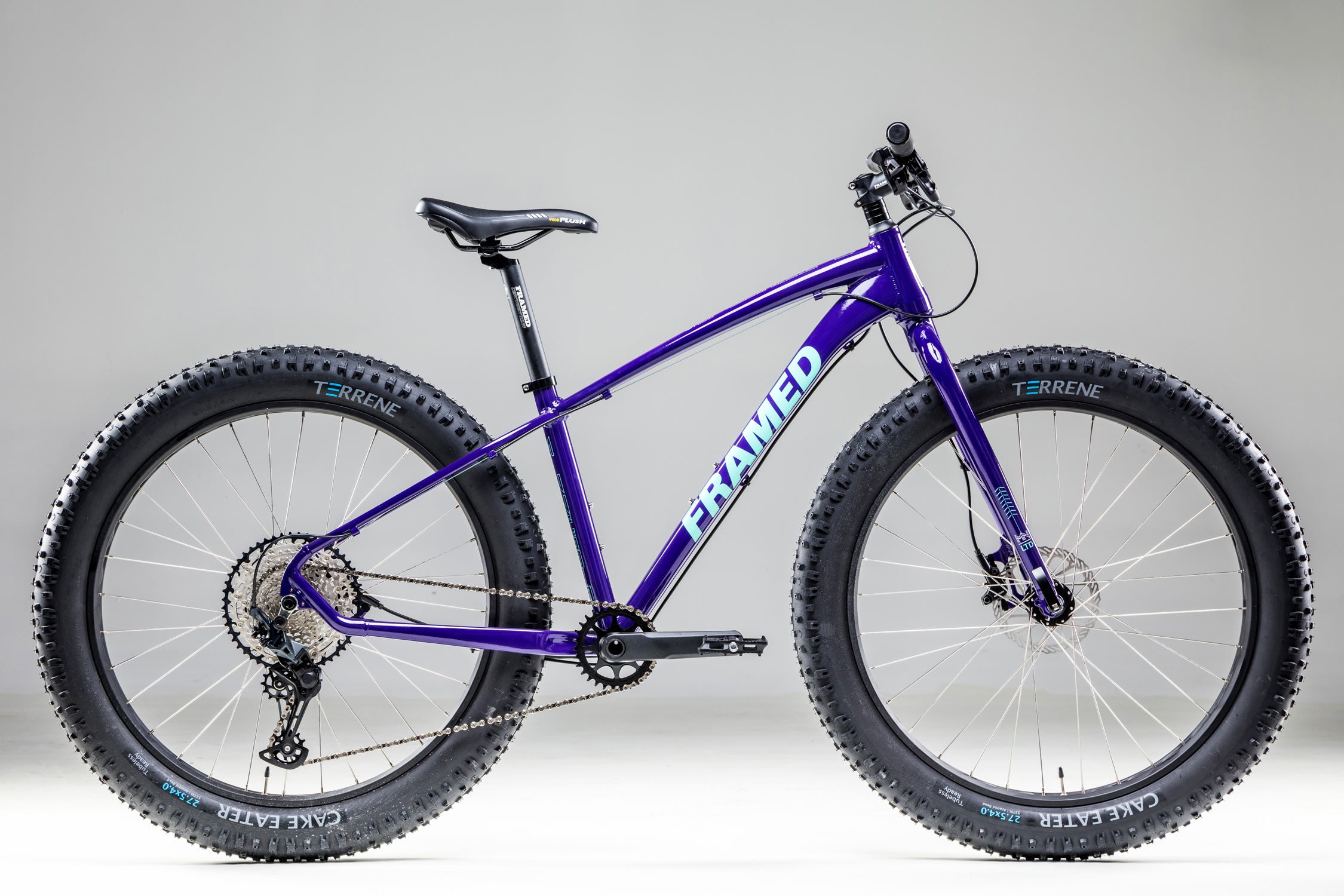 framed minnesota fat bike for sale