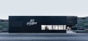 100 thieves store