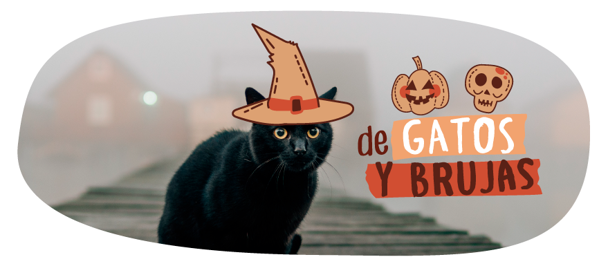 gatos y brujas