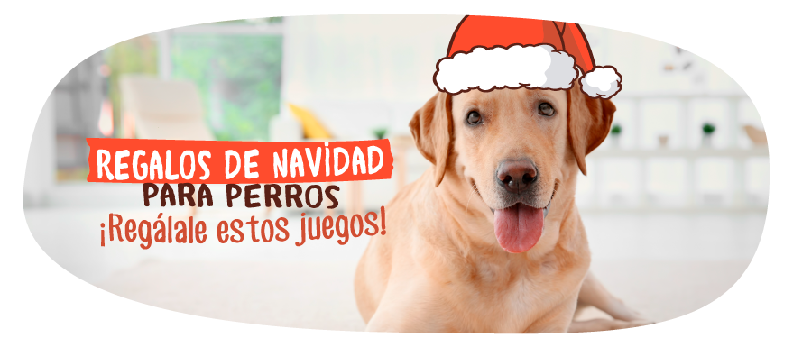 juguetes para perros