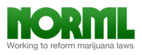 norml Branding & Mission Statement