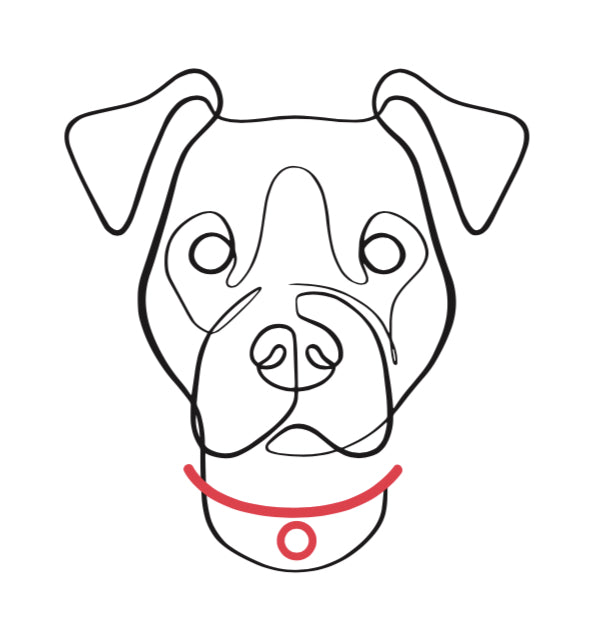 N.G. Collars