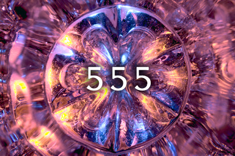 555 Portal