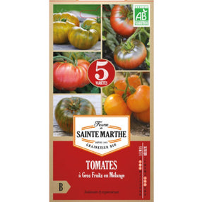 Tomate  Gros Fruits en Mlange bio