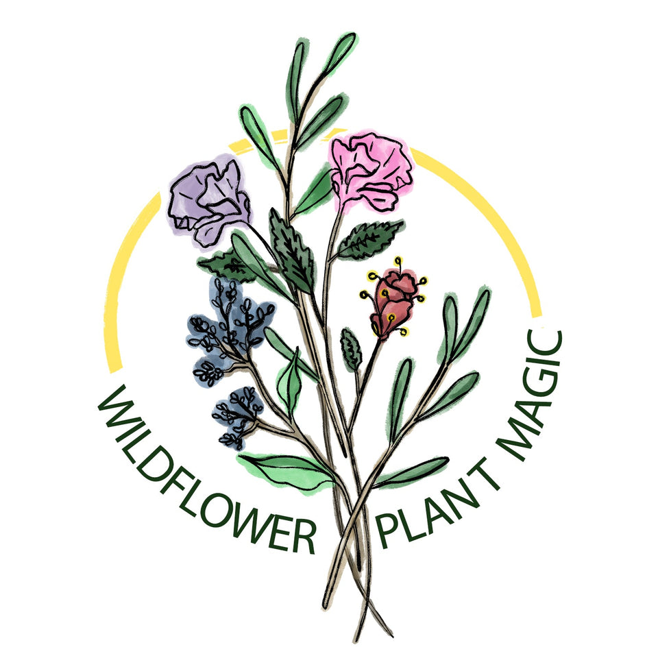 Wildflower Plant Magic