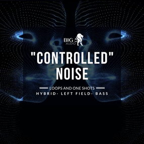 Controlled Noise