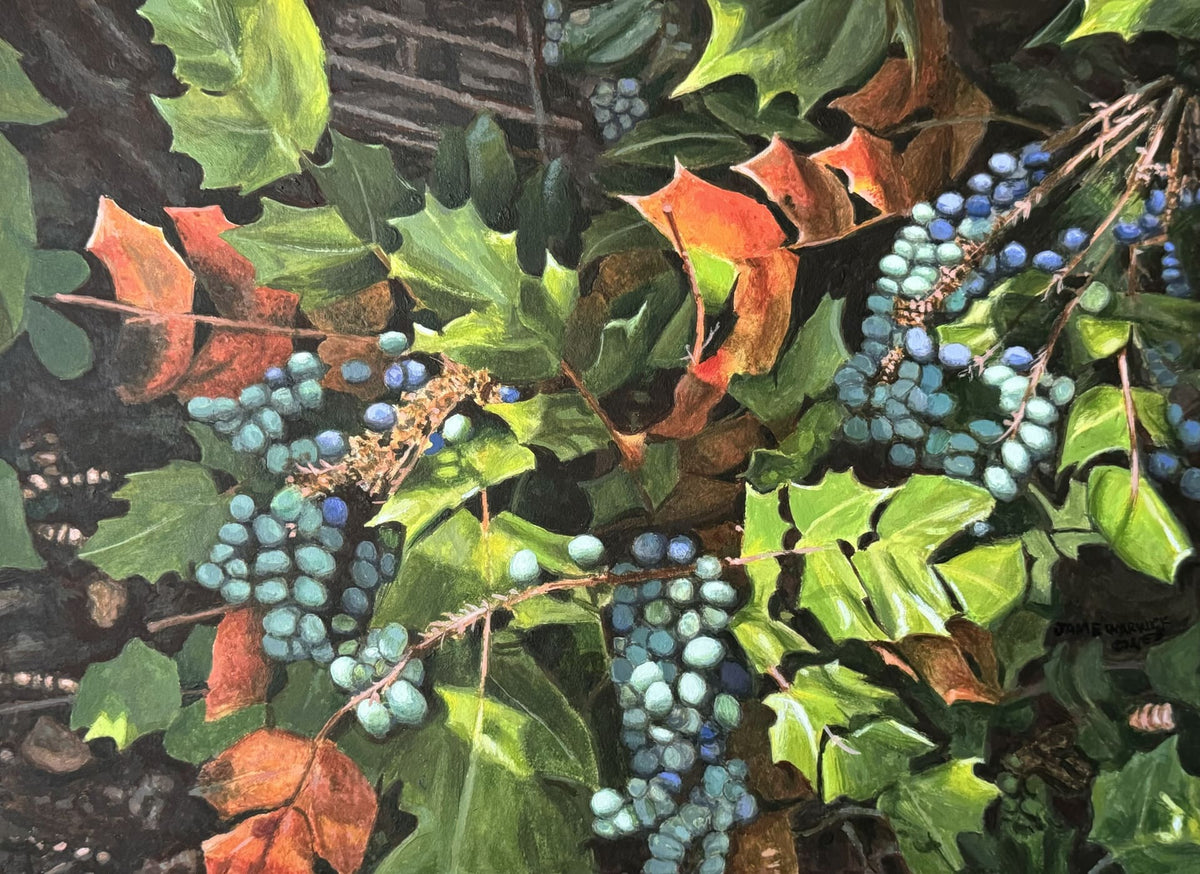 Grape Mahonia By James Warwick Jones