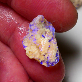 Lightning Ridge Opal Rough nice Opalised Wood Fossil 6cts Bright Blue Colours 2012x7mm 0704