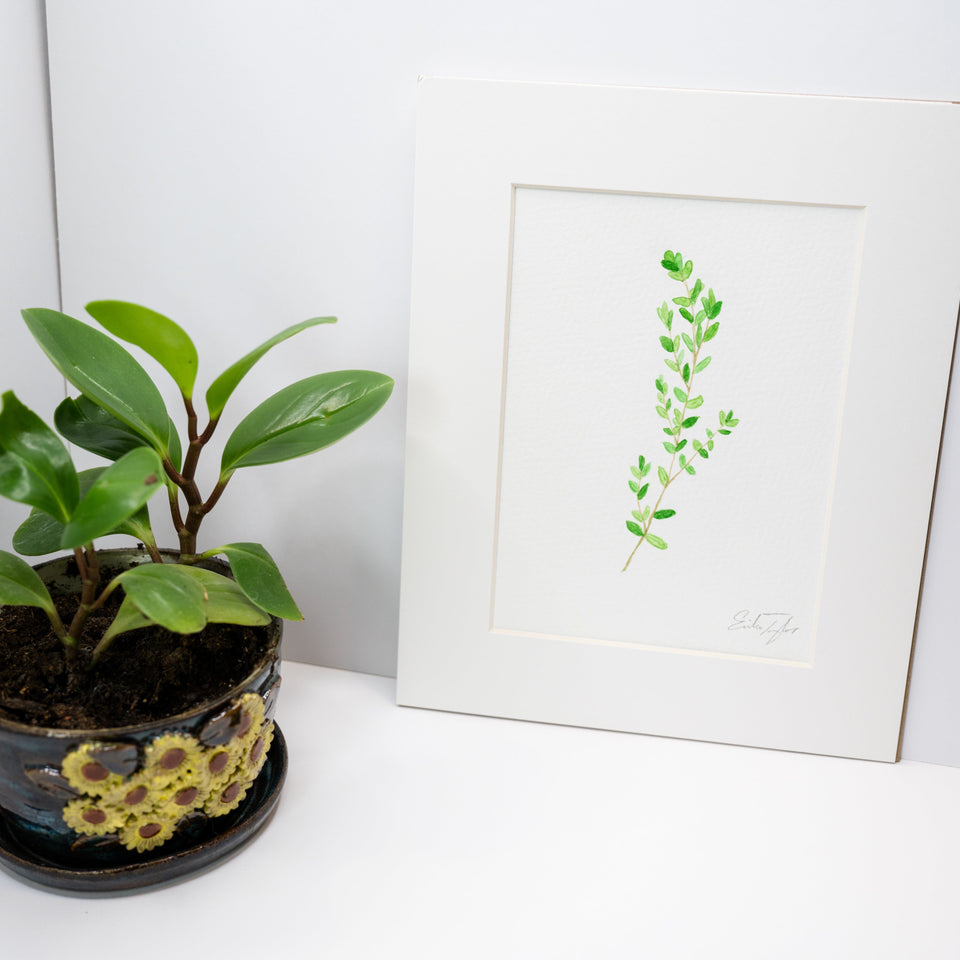 Original Thyme Painting (Herb Collection)