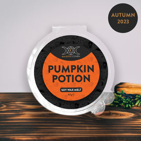 Pumpkin Potion - Soy Wax Melt