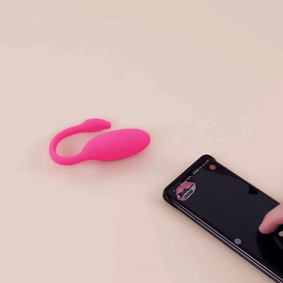 Secret Flamingo Wireless Vibrator