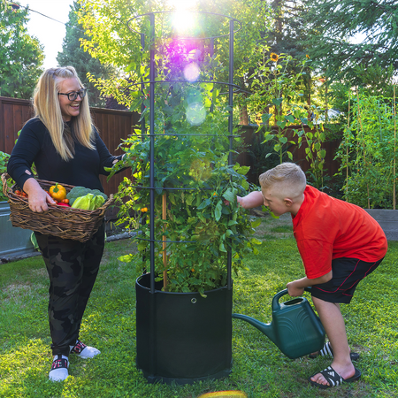 Savona Tomato Garden