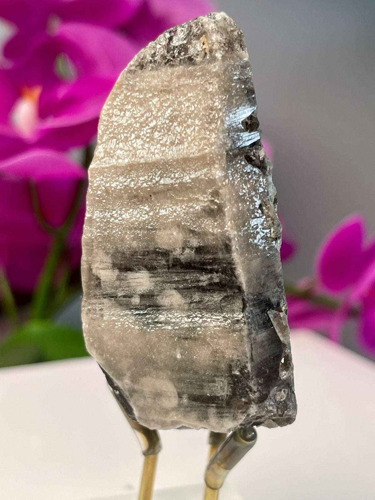 Morion Yin Yang Lemurian | Starbrary | Pearlescent | Mica | Y514