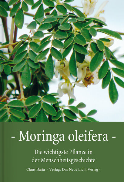 Moringa Oleifera - Die wichtigste Pflanze in der Menschheitsgeschichte