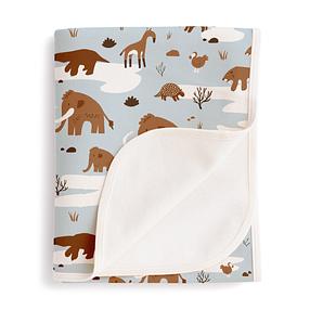 Winter Water Factory Ice Age Baby Blanket