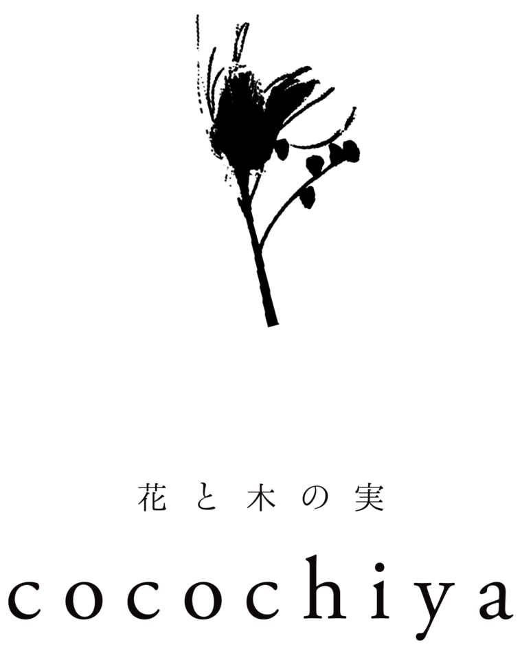 花と木の実cocochiya