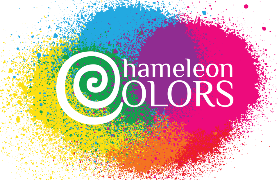 Chameleon Colors Holi Color Powder Party Box, 36-Piece Color Party Kit