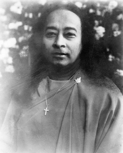 master in a garden