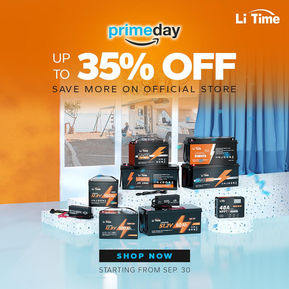 LiTime Official Store Marks 14-Year Milestone in New Energy Industry with  Anniversary Event Offering Up to 30% Off