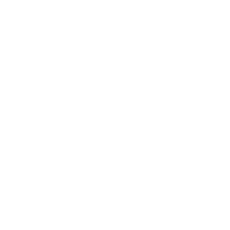 Z Grills