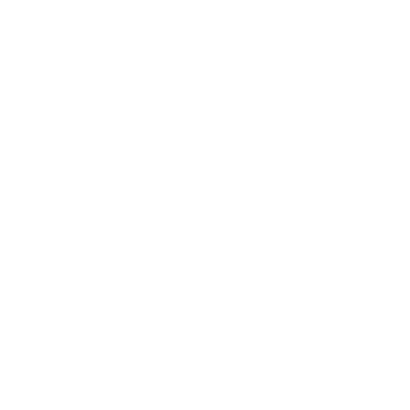 Z Grills