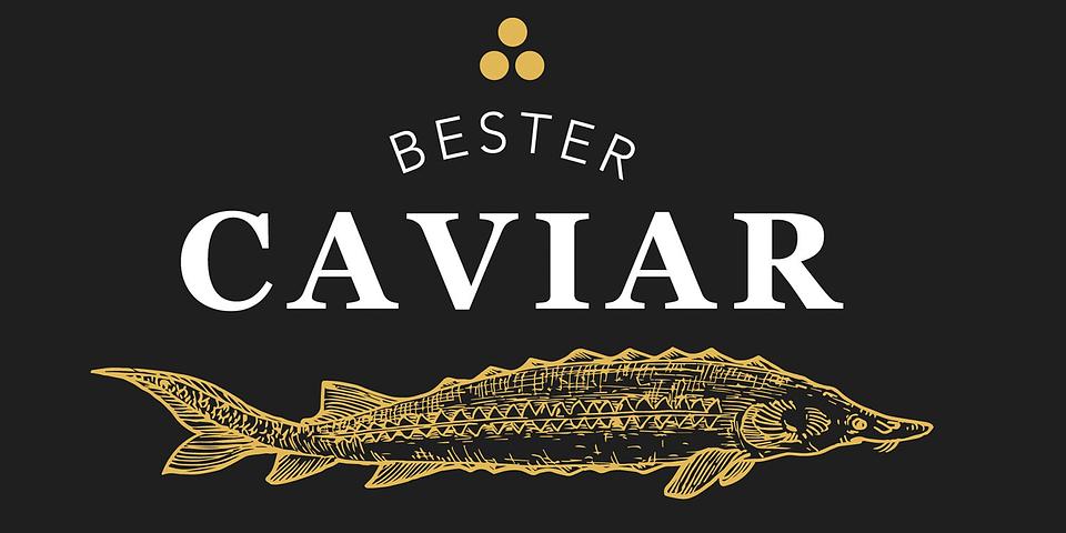 Bester Caviar