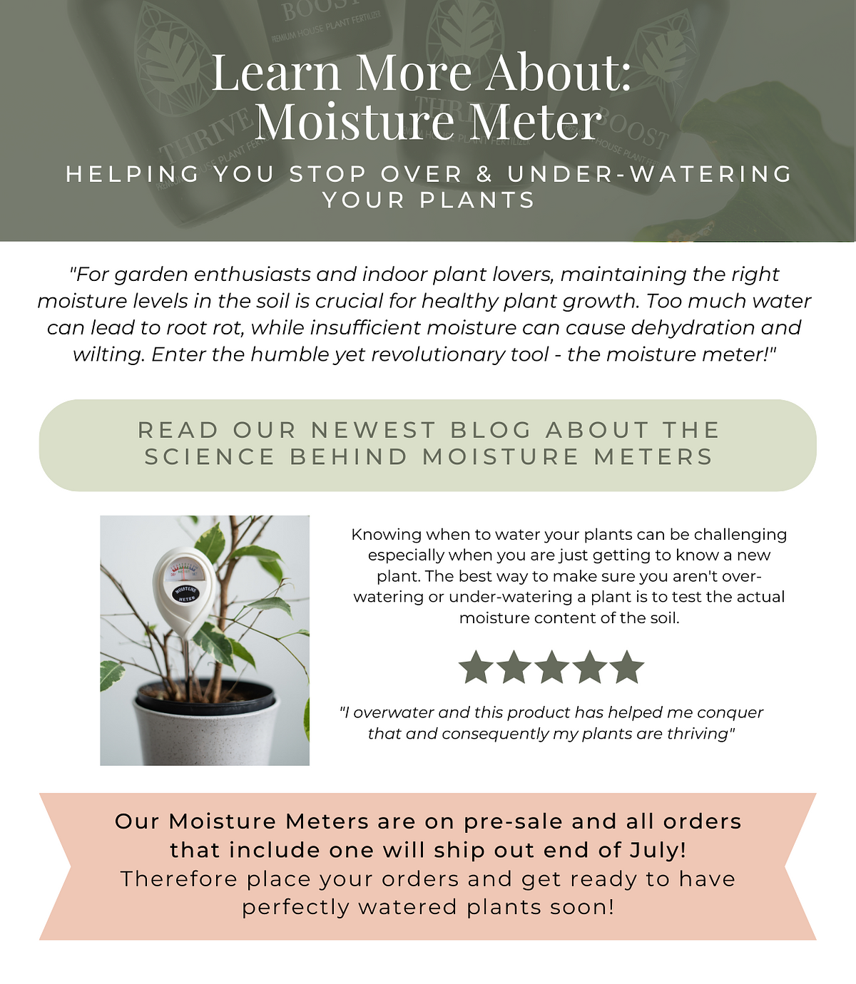 How To Use Soil Moisture Meter To Avoid Over & Under Watering