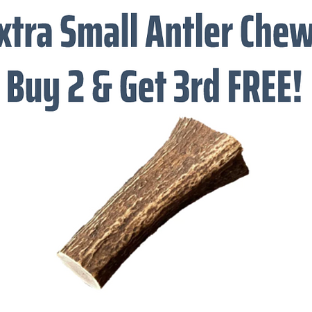 Wild Deer Antler Chews - 100% Natural