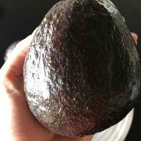 Avocado | Sir Prize