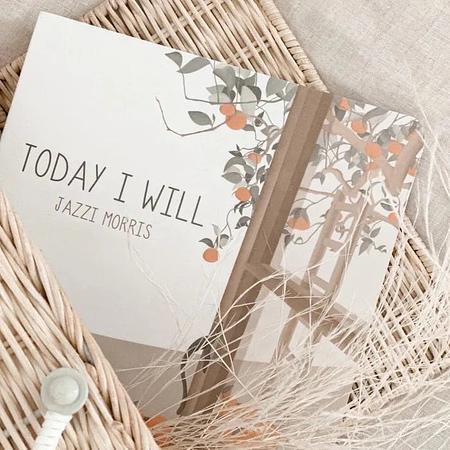 Board Book - Today I Will  I 422 1, N W 