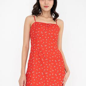 Francey Floral Mini Dress