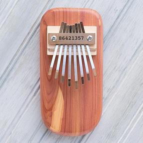 ThumbDrum Kalimba