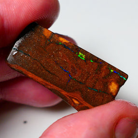 Queensland Boulder Matrix opal 31cts rough Winton  Bright colours in veins 38x18x5mm 0720