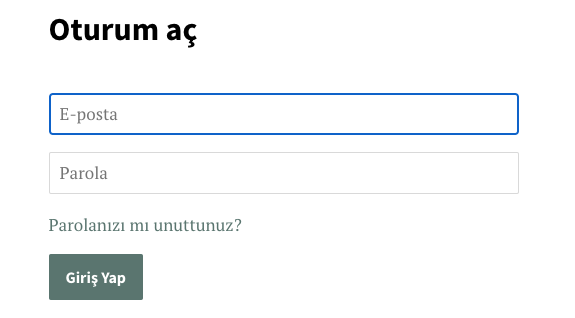 Bir online mağazada Email (E-posta) ve Password (Parola) için form alanlarını gösteren bir müşteri giriş ekranı. Email (E-posta) alanının hatları mavi renktedir.