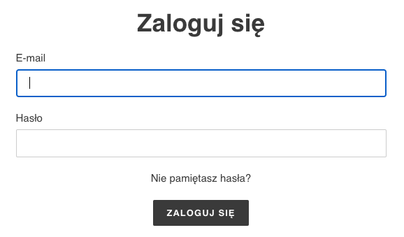 Ekran logowania klienta w sklepie online, na którym wyświetlane są pola formularza dotyczące adresu e-mail i hasła. Pole E-mail jest zaznaczone na niebiesko.