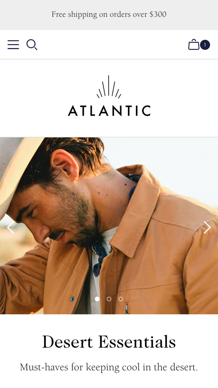 Aperçu de la version mobile du thème Atlantic dans le style « Light »