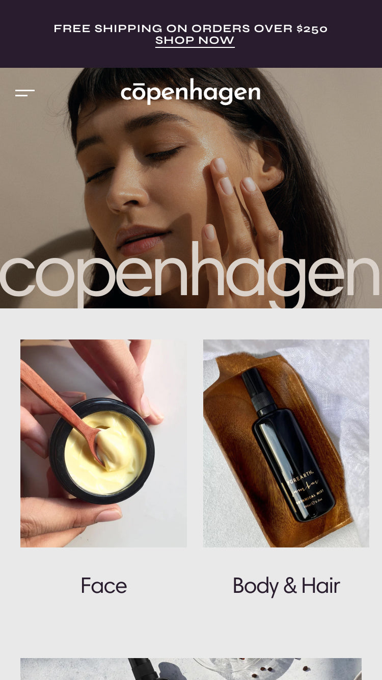 Pré-visualização móvel do tema Copenhagen no estilo "Delicate"